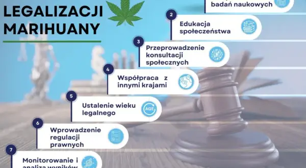 Marihuana w Polsce: Kiedy depenalizacja? Szanse na zmiany 2026
