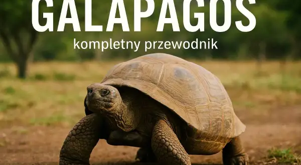 Wielka żółw przemierza suchą ziemię na wyspie Galapagos. Napis "GALAPAGOS" i "kompletny przewodnik" sugeruje, że to okładka książki.
