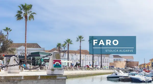 Faro, stolica Algarve, w listopadzie. Palmy, łodzie w marinie i budynki w tle.