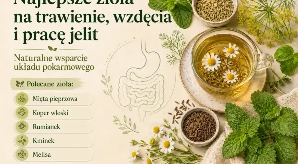 Mięta pieprzowa i inne zioła na trawienie. Napar z rumianku i kopru włoskiego, a także świeża mięta na wzdęcia.