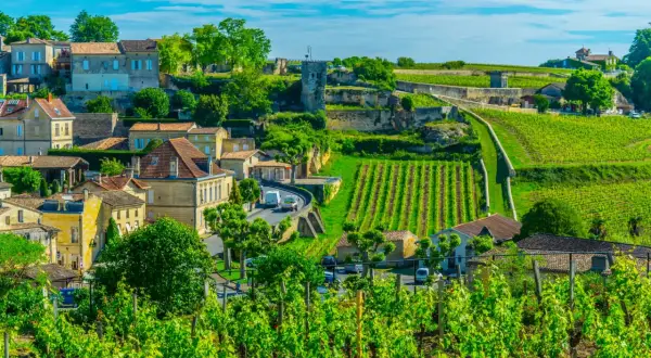 Malownicze winnice i kamienne domy w Bordeaux, gdzie dojrzewa wino.