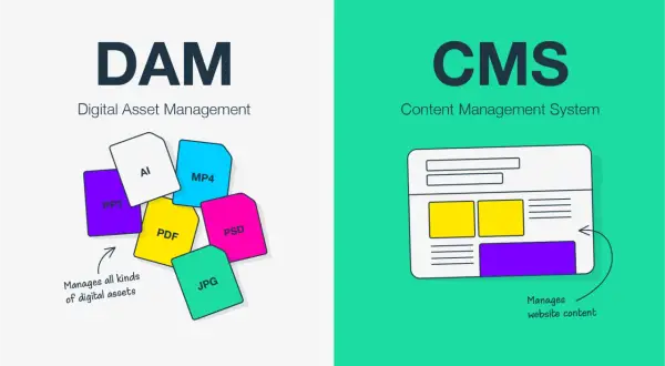 DAM manages all digital assets like PPT, AI, PDF, JPG, PSD, MP4. CMS manages website content.