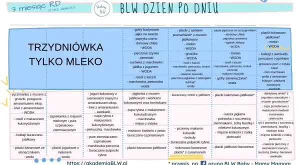Menu dla 8-miesięcznego dziecka: ile posiłków dla 8 miesięcznego dziecka? Tabela BLW pokazuje różnorodne propozycje.
