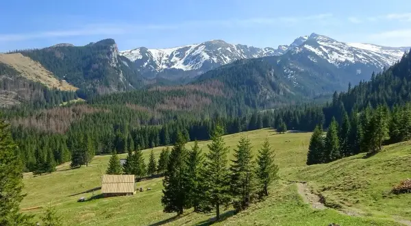 Piękne Tatry Zachodnie, idealne na wycieczkę z Zakopanego. Widać ośnieżone szczyty, lasy i polanę z bacówką.