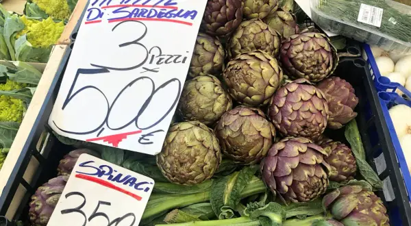 Frische Artischocken von Sardinien, die Frage "wie schmeckt Artischocke" wird durch ihren erdigen, leicht nussigen Geschmack beantwortet.