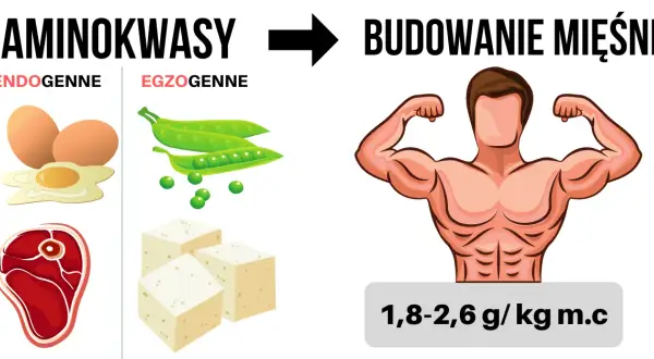 Białko dla sportowców: Ile g/kg m.c. na masę i redukcję?