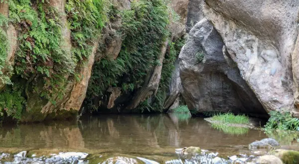 Un remanso de paz entre rocas y vegetación exuberante, un rincón secreto de los **ríos en Almería** donde el agua refleja el verdor.