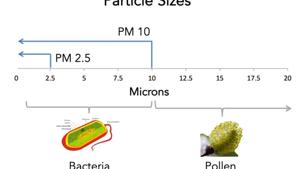 PM10 co to? Wykres porównuje rozmiary cząstek: PM2.5 (do 2.5 mikrona), PM10 (do 10 mikronów), bakterie (ok. 1-10 mikronów) i pyłki (ok. 10-50 mikronów).