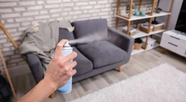 Jak usunąć zapach piwa z kanapy? Sprawdzone metody i porady