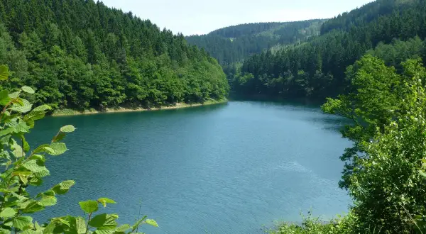 Idyllische Aggertalsperre mit bewaldeten Hängen. Perfekt für eine entspannte Wanderung am Wasser.