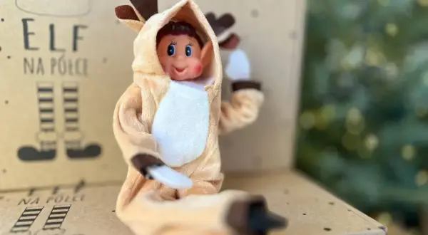 Uroczy elf w stroju renifera z uszkami i brązowymi rogami siedzi na kartonie z napisem "Elf na półce".