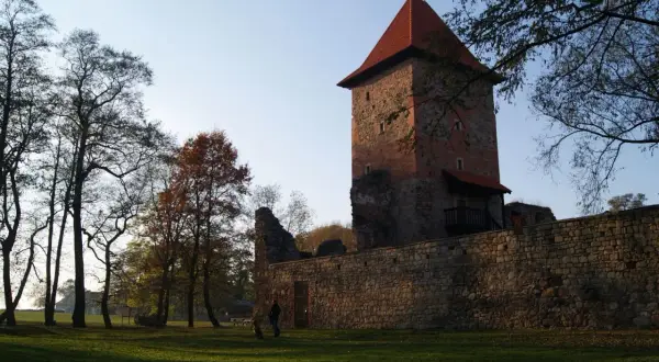 Wieża zamku w Chudowie z czerwonym dachem, otoczona kamiennym murem. Na trawniku spaceruje osoba z psem.