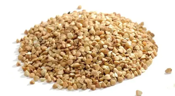 Czy w kaszy gryczanej jest gluten? Dowiedz się, co musisz wiedzieć