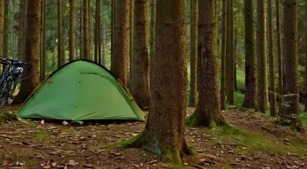 Zielony namiot i rowery czekają na nocne spanie w lesie.