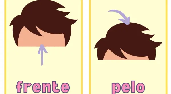 Tarjetas partes del cuerpo para imprimir: "frente" con flecha hacia arriba y "pelo" con flecha indicando la parte superior.
