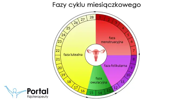 Miesiączka co ile dni? Normy, nieregularności i kiedy do ginekologa