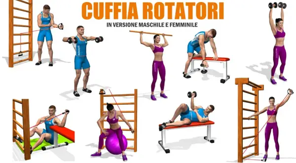 Uomini e donne eseguono esercizi per la cuffia dei rotatori con elastici, manubri e palla fitness.