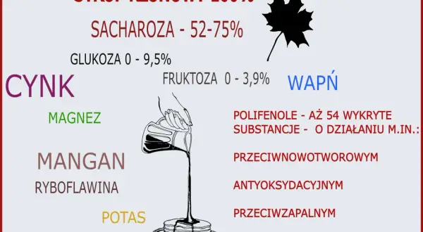 Syrop klonowy 100% zawiera cukry, minerały (cynk, magnez, mangan, potas, wapń) i polifenole. Warto sprawdzić syrop klonowy kcal.