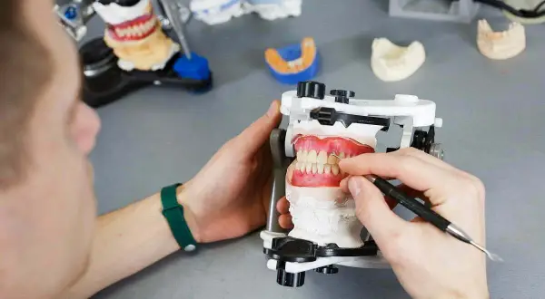 Technik dentystyczny pracuje nad modelem szczęki, wykonując ćwiczenia na przodozgryz.