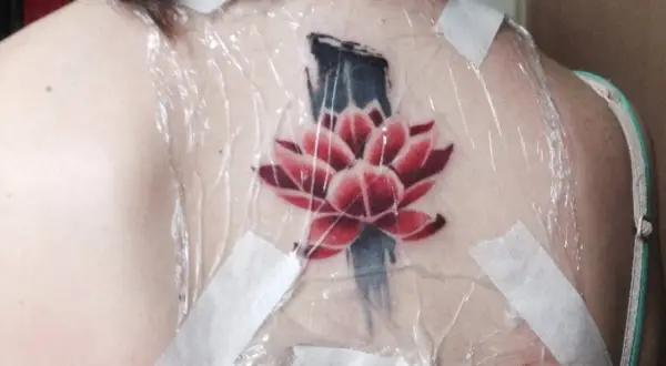Flor de loto roja y azul recién tatuada en la espalda, cubierta con plástico y cinta. Preguntándose cuanto tarda en cicatrizar un tatuaje.
