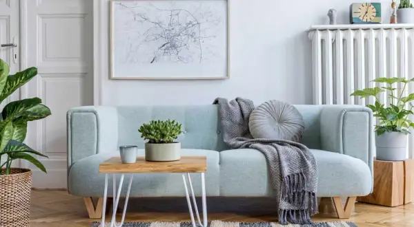 A light blue couch with a throw blanket and pillow. A small wooden table with a plant sits on the couch. This image shows how to clean a couch.