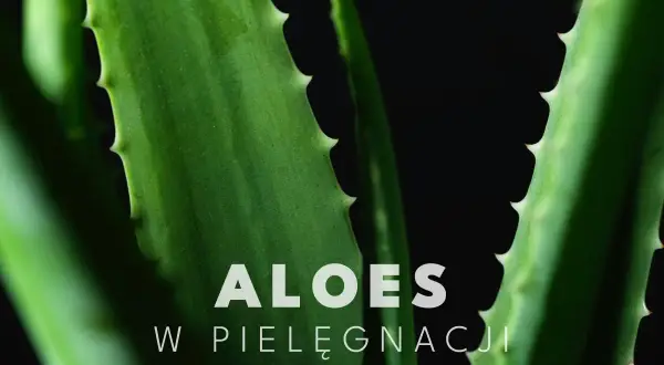 Zielone liście aloesu, idealne do pielęgnacji twarzy, z napisem "ALOES W PIELĘGNACJI".