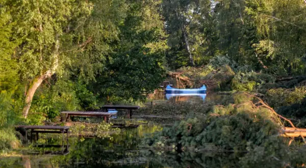 Niebieska łódź czeka na brzegu zwalonego drzewa. Jezioro zmarłe, otoczone bujną zielenią, odbija światło.