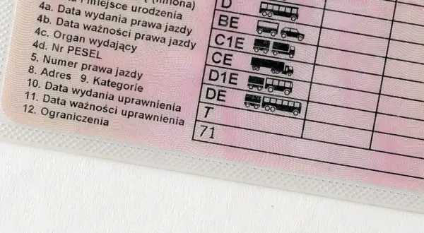 Fragment polskiego prawa jazdy z wpisanym kodem 71 w sekcji "Ograniczenia".