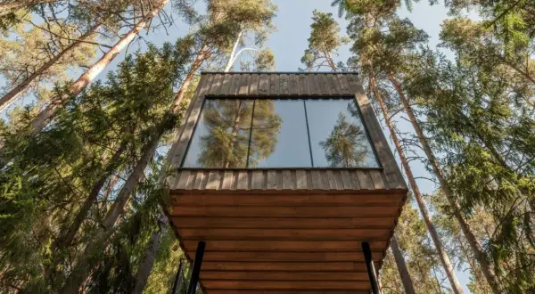 Bo i koja i skogen hotell, en modern träkabin med stora fönster som speglar tallskogen.