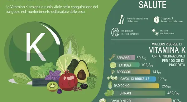 Alimenti con vitamina K in ordine alfabetico: asparagi, basilico e salvia, broccoli, cavoli di Bruxelles, cavolo nero, lattuga, radicchio, spinaci.