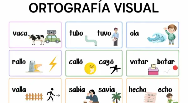 Ortografía visual: vaca, tubo, tuvo, ola, rallo, calló, cayó, votar, botar, valla, sabia, savia, hecho, echo.