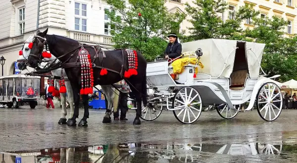 Małopolska gdzie z dzieckiem - najlepsze atrakcje dla rodzin