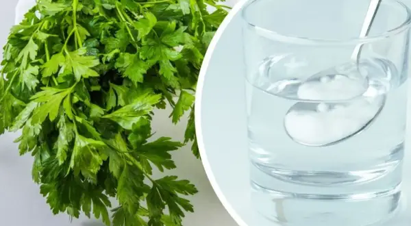 Pietruszka zielona, świeża i aromatyczna, obok szklanki wody z łyżeczką.