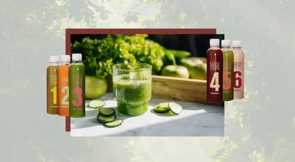 Erfrischende Säfte in Flaschen und ein Glas grüner Saft. Meine Saftkur Erfahrungen sind positiv, die Säfte schmecken toll!
