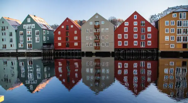 Ile zarabia weterynarz w Norwegii? Realne zarobki i koszty życia.