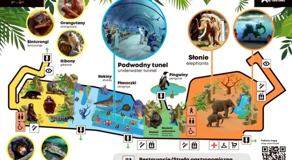 Zoo Łódź zaprasza! Zobacz orangutany, słonie, pingwiny i podwodny tunel. Sprawdź zoo łódź bilety ulgowe.