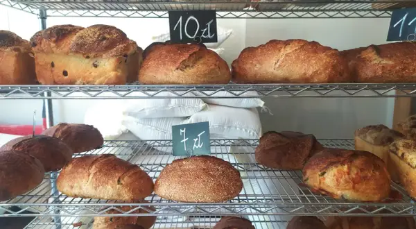 Różnorodne bochenki chleba rzemieślniczego na półkach piekarni. Widać chleb z rodzynkami, na zakwasie, z dodatkami i posypany sezamem.