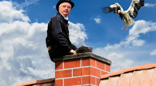 Kominiarz na dachu z miotłą, bocian w locie. PZU ubezpieczenie domu a przegląd komina to podstawa bezpieczeństwa.