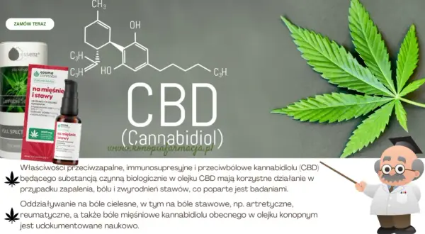 Jaki olejek na ból stawów? Naturalne sposoby na ulgę w bólu
