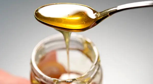 Ein Löffel mit goldenem Honig tropft in ein Glas. Hoffentlich kein schlechter Honig gegessen!