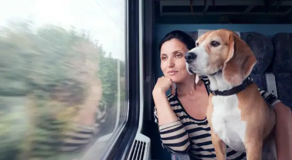 Une femme et son chien beagle regardent par la fenêtre d'un train. La question "peut on prendre le train avec un chien" se pose, et cette image montre que c'est possible.