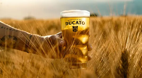 Un bicchiere di birra bionda del Birrificio del Ducato, tra spighe dorate. Un assaggio dei diversi tipi di birra, con la luce del tramonto.