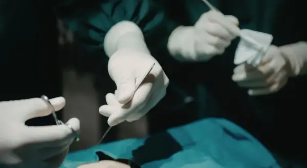 Dłonie chirurga w rękawiczkach trzymające narzędzia chirurgiczne i gazę podczas operacji.
