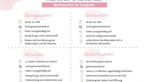 Vergleich von Wehenarten: Übungswehen (ab 25. SSW) und Senkwehen (ab 36. SSW) sind nicht geburtseinleitend. Vorwehen bereiten vor, Geburtswehen leiten die Geburt ein. Druck auf die Scheide kann bei 33. SSW auf Vorwehen hindeuten.