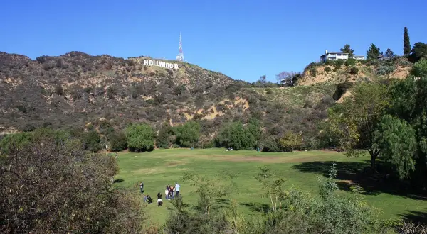En grönskande park med människor som njuter av solen, med den ikoniska hollywood skylten i bakgrunden mot en klarblå himmel.