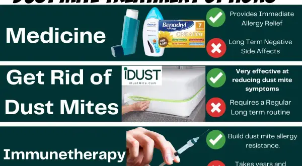 Mattress encasement to combat dust mites, alongside medicine and immunotherapy options for allergy relief.