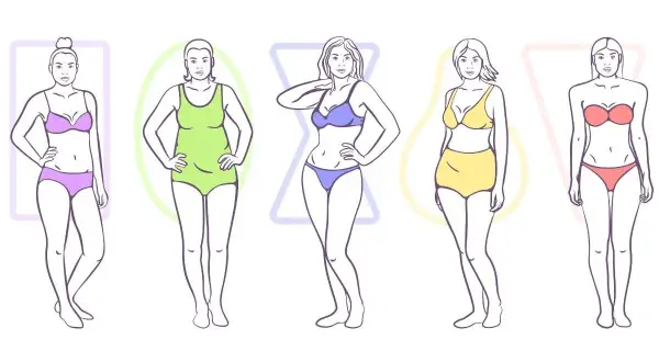 Ilustracja przedstawiająca pięć różnych typów sylwetek kobiecych w bieliźnie.