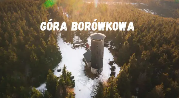 Jak dojść na Borówkową Górę - łatwe trasy i przydatne wskazówki