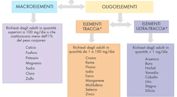 Schema sui sali minerali: macroelementi, oligoelementi, elementi traccia e ultra-traccia, con esempi di minerali essenziali per l'organismo.