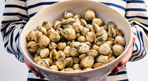 Un bol rempli de coques coquillage, prêt à être cuisiné. Les coquillages sont disposés dans un bol en céramique, tenus par une personne portant un pull rayé bleu et blanc.